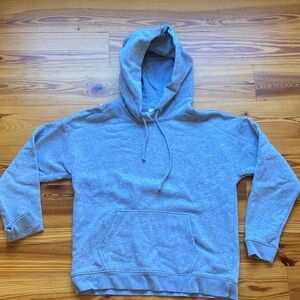 TNA Aritzia Hoodie Gray Hoodie
